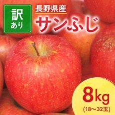 先行受付】長野県産 サンふじ りんご 家庭用 訳あり 10kg(25～43玉