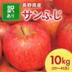 先行受付】長野県産 サンふじ りんご 家庭用 訳あり 10kg(25～43玉